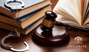 mylawyer360.com criminal