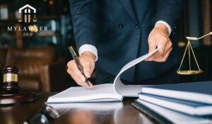 mylawyer360.com employment lawyers